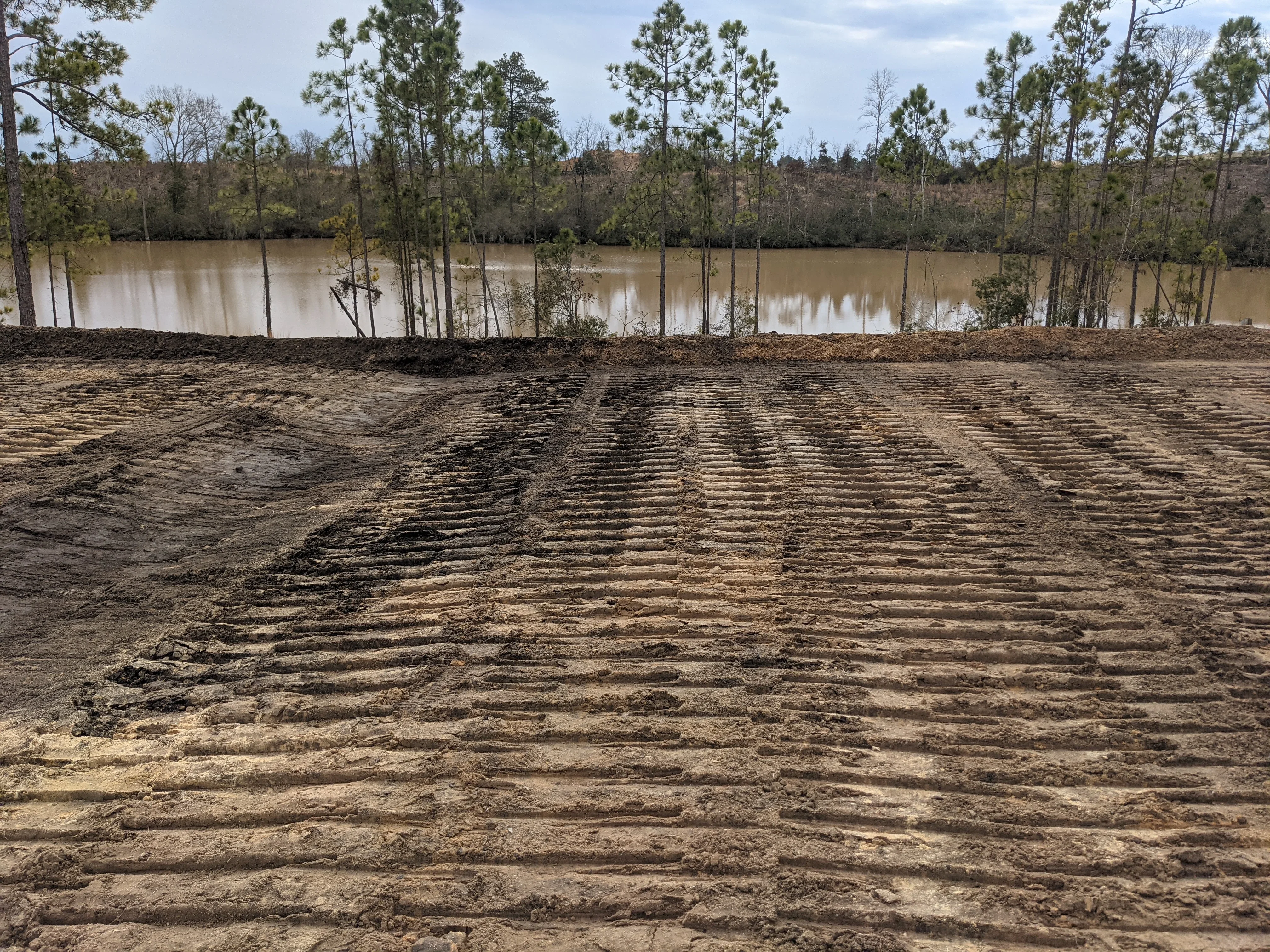Graded soil with linear patterns adjacent to water and pine forest