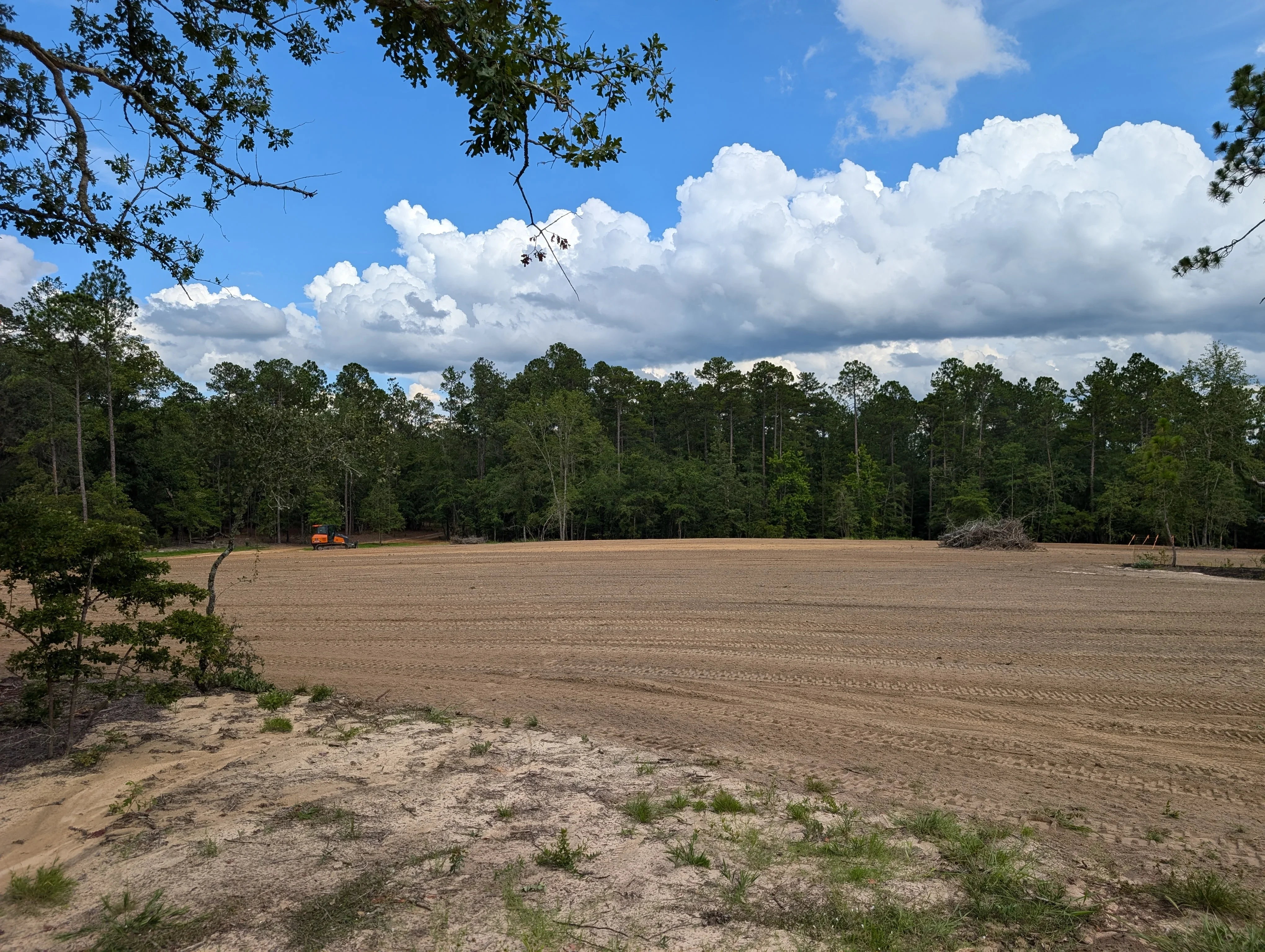 Cleared earthen lot with graded soil, surrounded by tall pine and hardwood forest