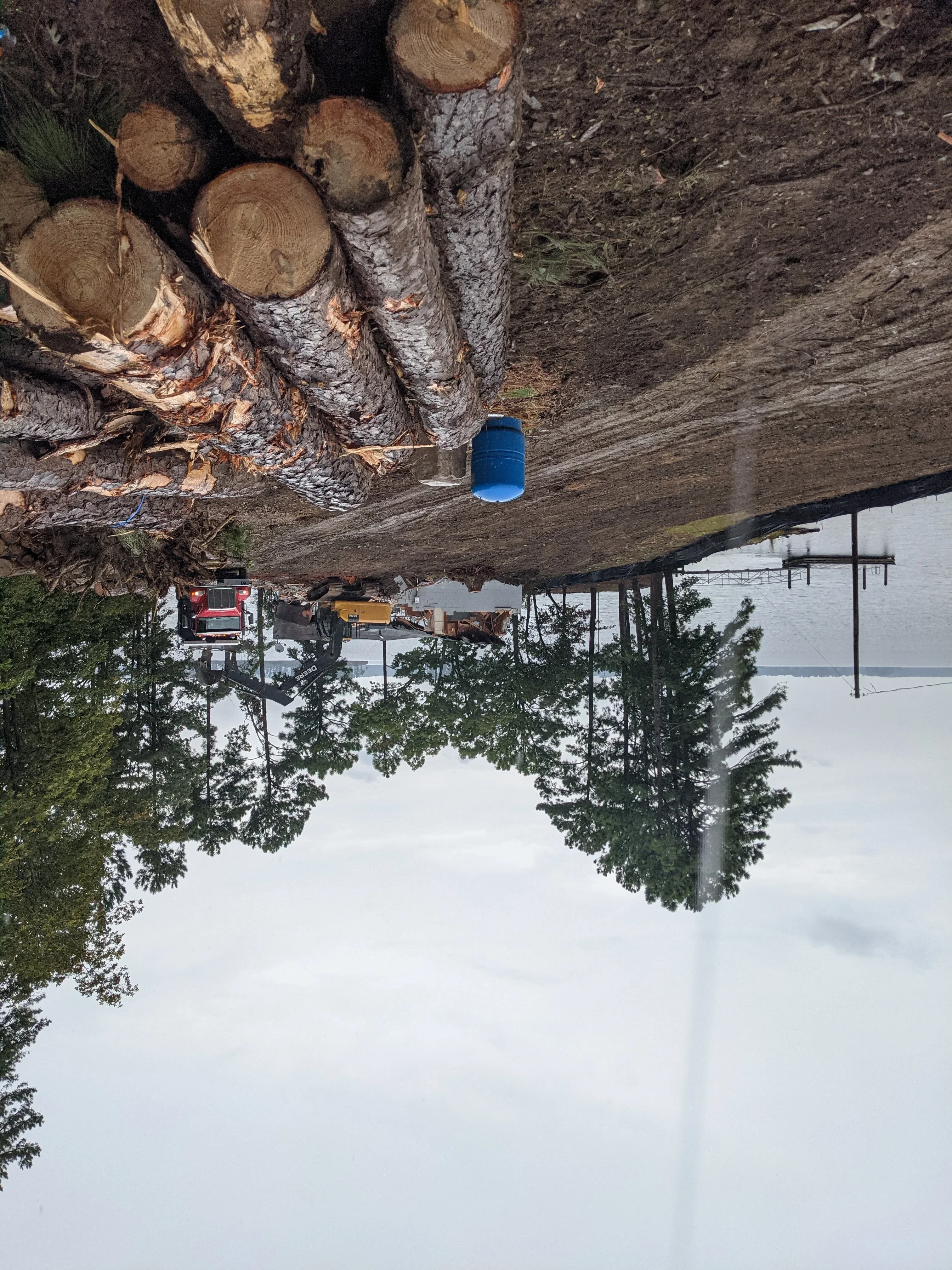 Felled tree logs stacked on cleared dirt lot with excavation equipment and blue barrel